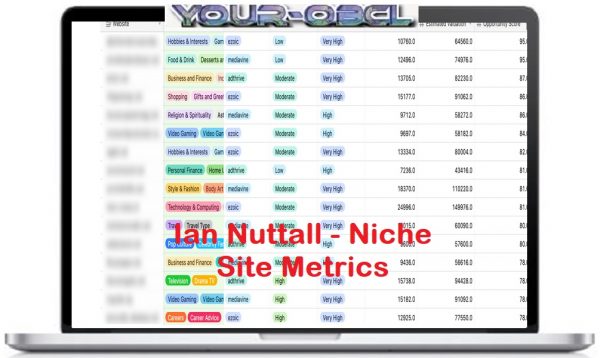 Ian-Nuttall-Niche-Site-Metrics